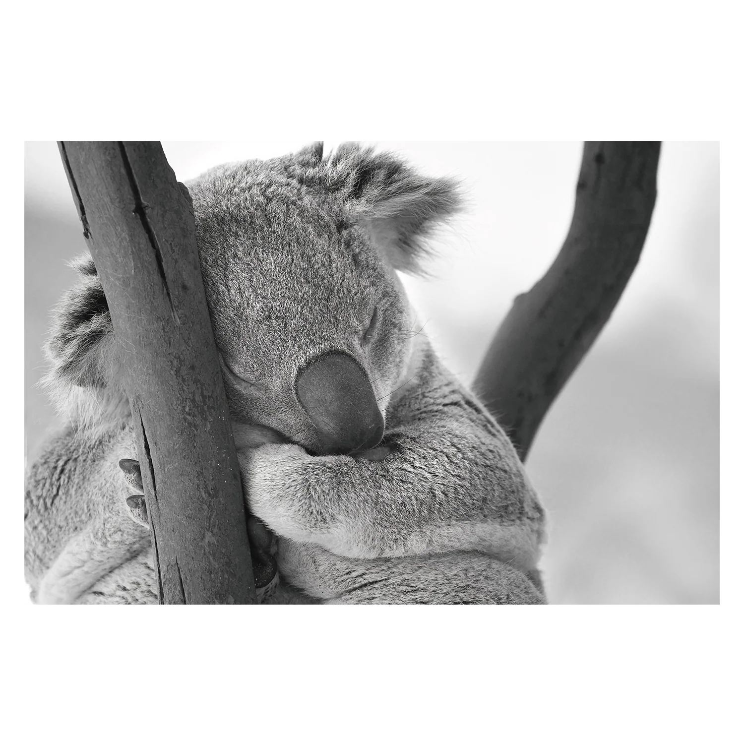 Ultimate Search Bestseller Collection - DO NOT DELETE